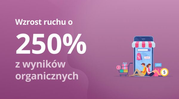 250% wzrostu ruchu z wyników organicznych w 2 miesiące – skuteczne praktyki SEO