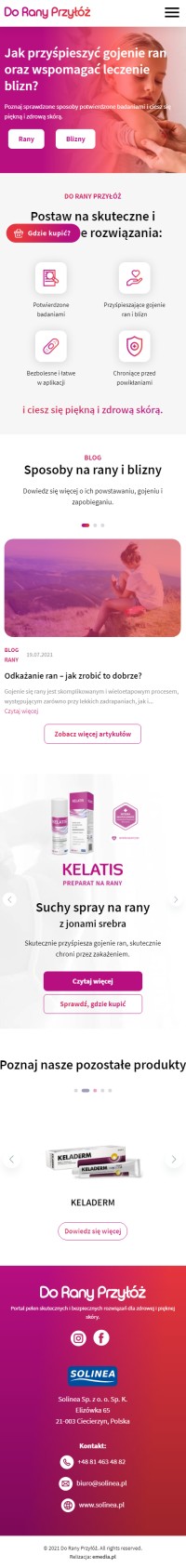 Strona internetowa doranyprzyloz.pl - zrzut mobile