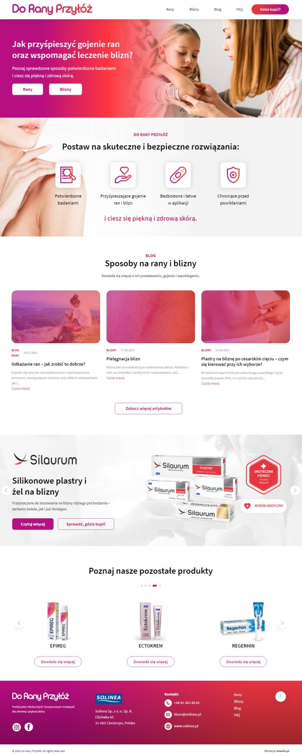 Strona internetowa doranyprzyloz.pl - zrzut desktop