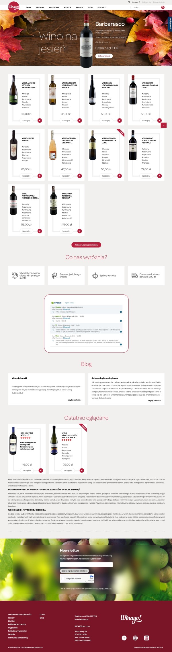 Sklep internetowy winayo.pl - zrzut desktop