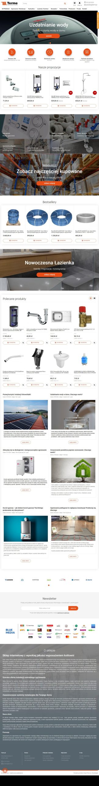 Sklep internetowy terme.pl - zrzut desktop